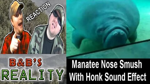 Manatee Nose Smush With Honk Sound Effect REACTION!!! *ADULTS ONLY*