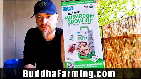 Day 1: Organic Pearl Oyster Mushroom Grow Kit (10 days to Harvest) Sustainability | How To Review