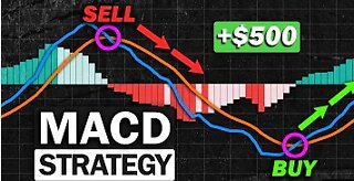 Most Effective MACD Strategy for Daytrading Crypto, Forex & Stocks (High Winrate Strategy)
