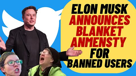 ELON MUSK Announces Blanket Amnesty On Twitter
