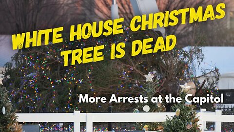 White House Christmas Tree is Dead, and Protesters disrupt Capitol Tree lighting (and get arrested).