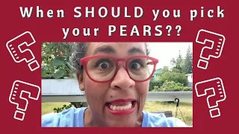 When DO you Pick Your Pears? | Urban Homestead VLOG