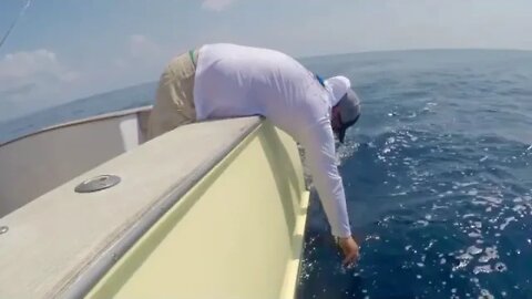 Sailfish catching and release in Florida Deep sea!