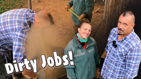 Dirty JOBS!💩🤮 Horse Stables Clean Up! | DIY