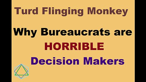 Turd Flinging Money discusses why BUREAUCRATS make HORRIBLE Decision Makers
