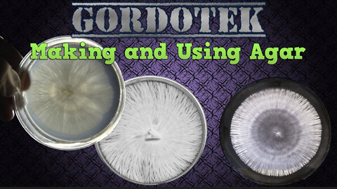Making and Using Agar (for mycology)