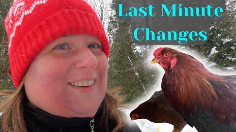 Moving Our Partridge Chantecler Chickens Mid Winter