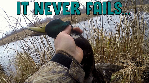 It Never Fails...