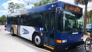 LeeTran full bus service returns