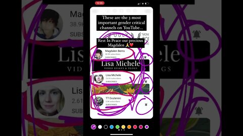 The 3 most important gender critical channels on YouTube: Magdalen Berns, Lisa Michele, TT Exulansic