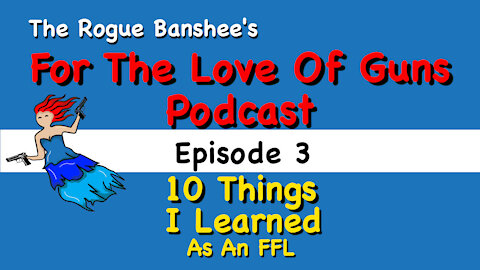 For The Love Of Guns //Episode 3//10 Things I Learned As An FFL