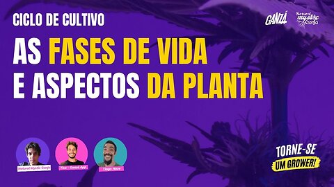 As Fases e Processos de Crescimento da Planta - SEMANA TORNE-SE UM GROWER - Dia 4