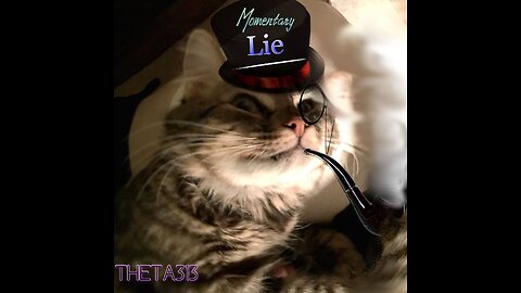 Momentary Lie (Audio)- Theta313