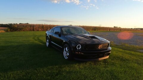 My 08 Mustang Walk-Around in 5.3k Ultra HD Video Quality - Gopro Hero 10 60FPS