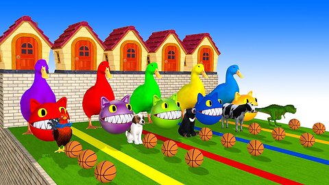 Paint & Animals 1 Giant Duck, Elephant Co wsTiger Chickens Dog Cat Magic Fountain Transfiguration