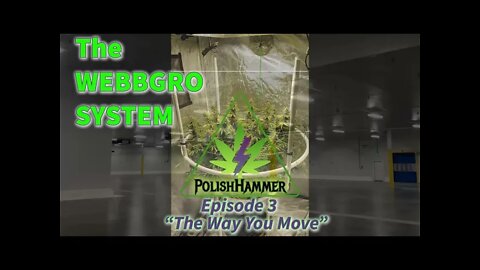 WebbGro System Ep.3 "The Way You Move" 🕸🌲👽🔨 #WEBBGRO #NORTHGENETICS #SPIDERFARMER #420