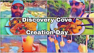 Discovery Cove | Creation Day