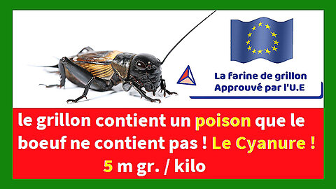 De la farine d'insectes au CYANURE approuvée par l'U.E... (Hd 720) Autre lien au descriptif