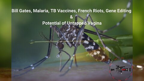 Bill Gates, Malaria, TB Vaccines, French Riots, Gene Editing & Potential of Untapped Vagina