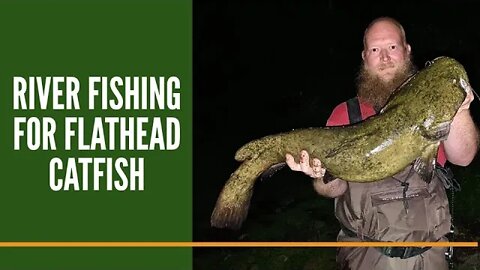 River Fishing For Flathead Catfish + Channel Cats, Bass & Carp / Flathead Catfish Fishing Michigan