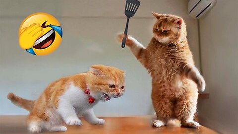 1 Hour Trending Funny Dogs And Cats Videos 😂 Funniest Cats and Dogs 😸🐶