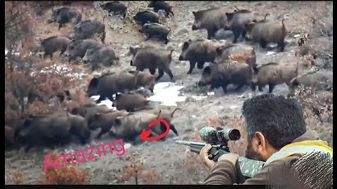 💣American Hunters 😯And Farmers Hunt 🔫🔫Millions Of Wild Animals - Hunting Docu....