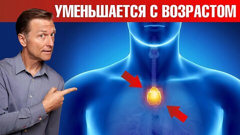 Тимус с возрастом уменьшается. Это убивает ваш иммунитет - ДокторБерг