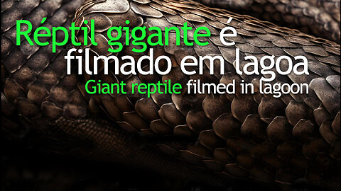 Réptil gigante é filmado na Lagoa Juara | Giant reptile filmed in lagoon | JV Jornalismo Verdade