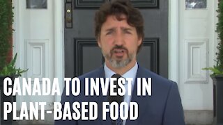 Trudeau Just Announced A $100 Million Investment Into Plant-Based Food In Canada