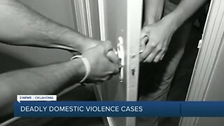 DVIS concerned over deadly domestic violence cases