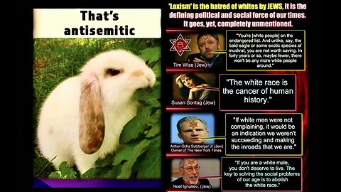 Loxism Jews Hating Whites Is Free Speech In JewSA But Denouncing Israel Killing Non Jews Is Illegal