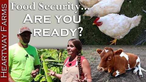 Food security: our walking stockpile at the homestead | Warning to prepare from farmers | Prepping