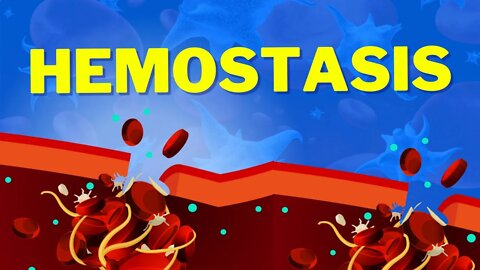 Hemostasis | How We Stop Bleeding