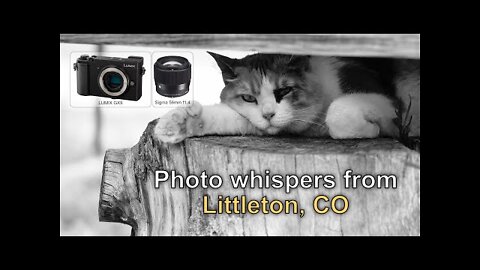 Littleton CO - Homestead Farm (Lumix GX9 + Sigma 56mm)
