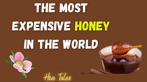 Unveiling the Secrets of Expensive Honey