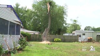 19 people injured after a tree falls on a garage in Pasadena