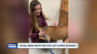 Social media helps locate dog lost in the blizzard