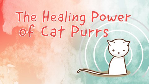 7 Ways Cat Purring Is Good For Human Health