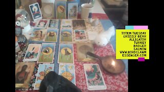 Totem Tuesday Medicine Card Reading - Grizzly Bear, Alligator, Turkey, Badger, Salmon - and Frens