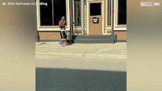 Homem flagrado passeando com guaxinim como se fosse um cão