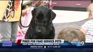 Senator wants stricter laws for service pets