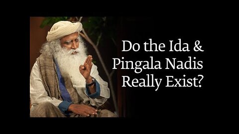 Do the Ida and Pingala Nadis Really Exist?