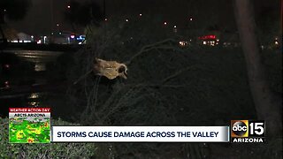 Storms cause damage across the Valley