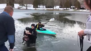 Springfield Township police officer rescues dog from icy pond, reunites him with family