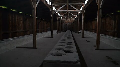 Auschwitz 5