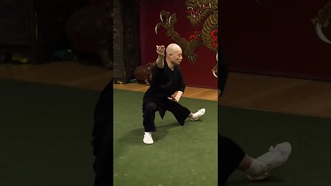 Shaolin master performing taiji quan. #martialarts #shaolin #kungfu #warrior