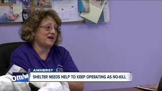 Shelter needs help to keep operating