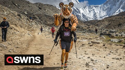 British wildlife photographer completes gruelling Everest marathon - with 9ft tiger on his back