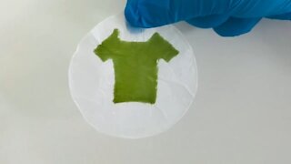Clothing made from algae? Researchers have made it possible