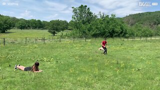 Cavalinho treina saltos com ajuda de crianças